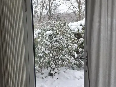 Einzelzimmer für 1 Person (24 m²) 5/8