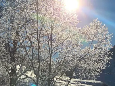 Einzelzimmer für 1 Person (15 m²) in Tannheim 7/10