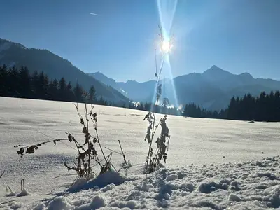 Einzelzimmer für 1 Person (15 m²) in Tannheim 8/10