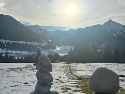 Einzelzimmer für 1 Person (15 m²) in Tannheim 10/10