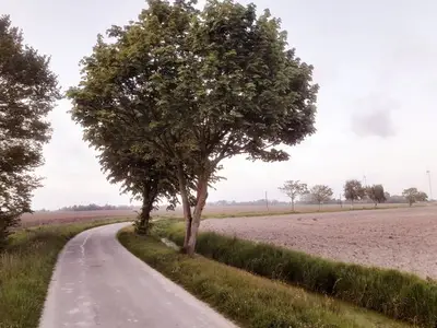 Einzelzimmer für 2 Personen in Stedesdorf 8/10