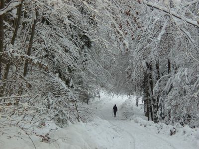 Winternordicwalking