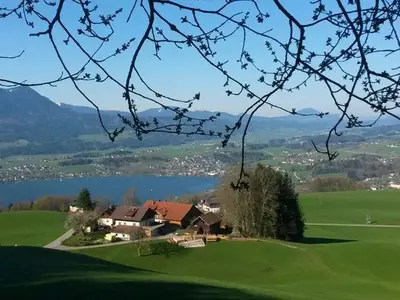 Einzelzimmer für 1 Person (14 m²) in Mondsee 1/10