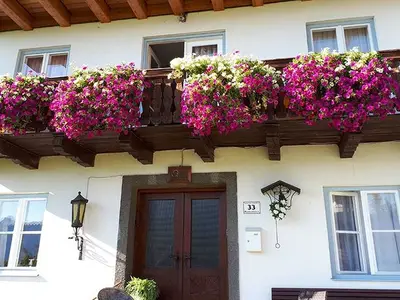 Einzelzimmer für 1 Person (14 m²) in Mondsee 3/10