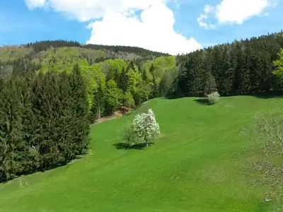 Einzelzimmer für 1 Person (14 m²) in Mondsee 4/10