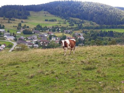 Einzelzimmer für 1 Person in Todtmoos 6/10