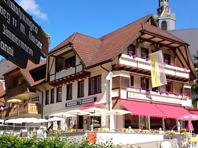 Einzelzimmer für 1 Person in Todtmoos 1/5