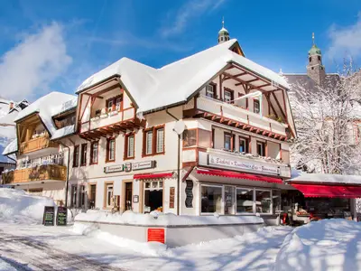 Einzelzimmer für 1 Person in Todtmoos 1/5