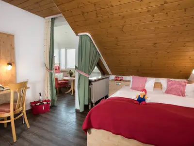 Einzelzimmer Buche, 18 qm