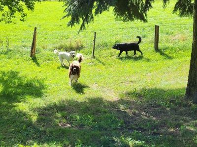 Einzelzimmer für 1 Person in Trattenbach (Niederösterreich) 9/10