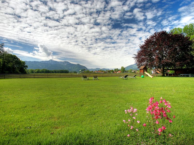 15223851-Einzelzimmer-1-Übersee-800x600-1