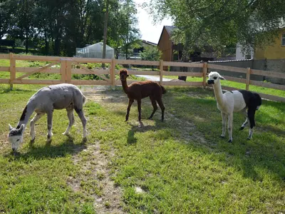 Einzelzimmer für 1 Person in Weißdorf 1/2