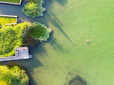 Einzelzimmer für 1 Person (12 m²) in Weißensee 3/10