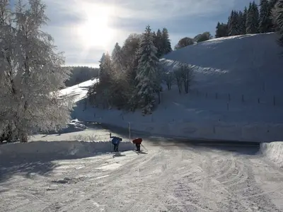 Einzelzimmer für 1 Person in Wieden 3/10
