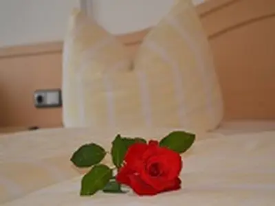 Einzelzimmer für 2 Personen (16 m²) in Winzer 3/3