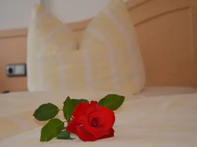 Doppelzimmer Standard