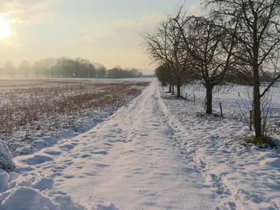 Winter Privatweg