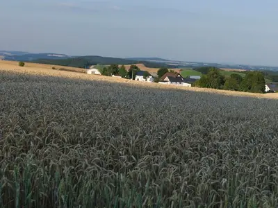 Einzelzimmer für 2 Personen (15 m²) in Zeulenroda 9/10