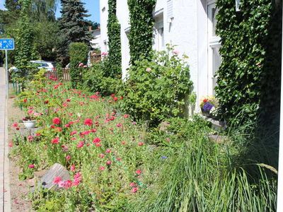 Einzelzimmer für 1 Person (13 m²) in Zinnowitz 3/10