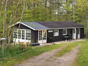 Ferienhaus für 4 Personen (73 m²) in Apenrade