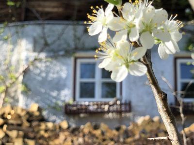 Ferienhaus für 23 Personen in Achenkirch 4/10