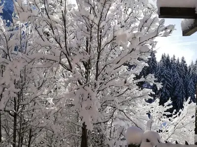 Ferienhaus für 23 Personen in Achenkirch 8/10