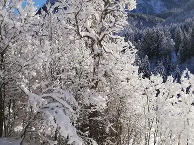 Ferienhaus für 23 Personen in Achenkirch 10/10