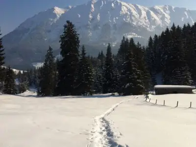 Ferienhaus für 6 Personen (120 m²) in Achenkirch 10/10