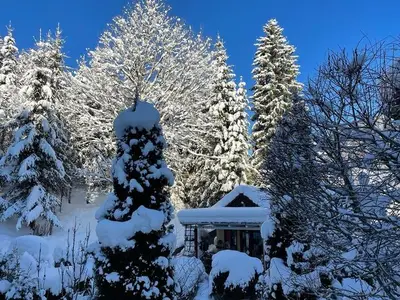Ferienhaus für 6 Personen (120 m²) in Achenkirch 10/10