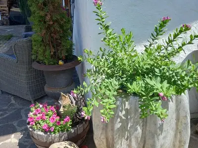 Ferienhaus für 7 Personen (250 m²) in Achenkirch 7/10