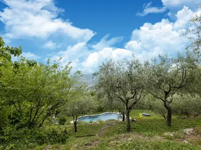 ViewSummer