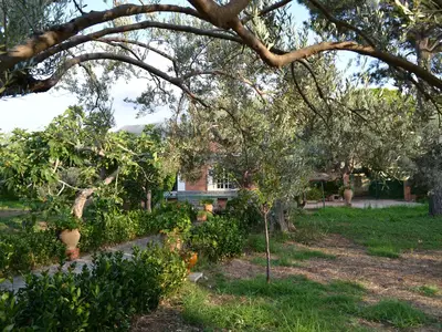 Garten Garten