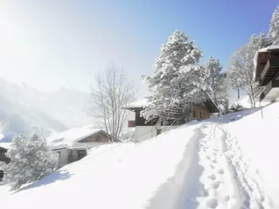 Buitengaats.Winter 2017 Laserweg