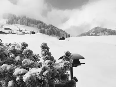 Winterland