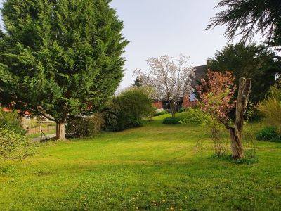 Ferienhaus für 12 Personen (166 m²) in Adelebsen 4/10