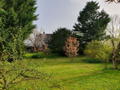 Ferienhaus für 12 Personen (166 m²) in Adelebsen 9/10