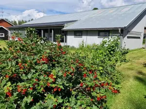 Ferienhaus für 6 Personen (97 m²) in Vidsel