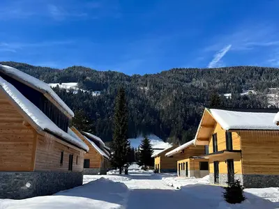 DualResorts Winter
