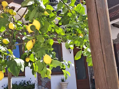 Ferienhaus für 3 Personen (70 m²) in Agerola 2/10