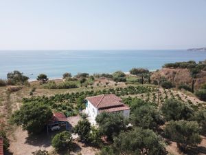Ferienhaus für 4 Personen (45 m²) in Agios Andreas