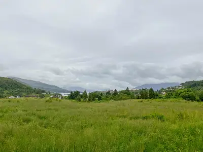 view-from-room