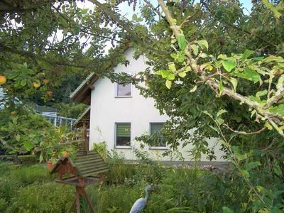 Ferienhaus für 4 Personen (80 m²) in Ahlbeck 4/10