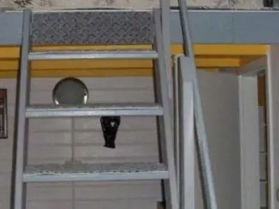 Ferienhaus für 2 Personen (22 m²) in Ahlbeck 4/8