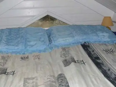 Ferienhaus für 2 Personen (22 m²) in Ahlbeck 5/8