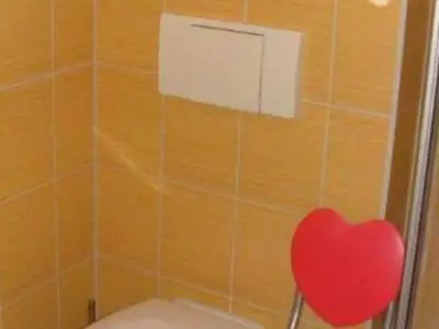 Ferienhaus für 2 Personen (22 m²) in Ahlbeck 7/8