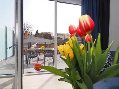 Ferienhaus für 6 Personen (98 m²) in Ahlbeck 8/10