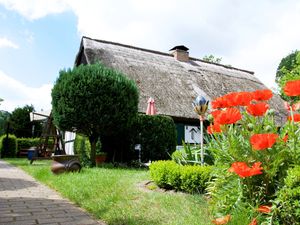 21867641-Ferienhaus-5-Ahlbeck bei Ueckermünde-300x225-0