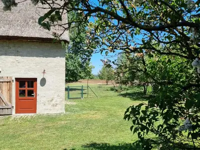 Ferienhaus für 3 Personen (90 m²) in Ahlbeck 10/10