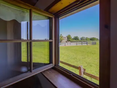Blick aus dem Kinderzimmer auf die Pferdekoppel