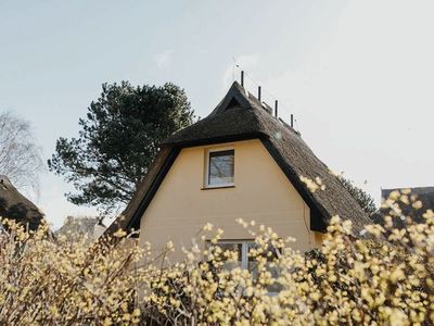 Ferienhaus für 4 Personen (60 m²) in Ahrenshoop 5/10